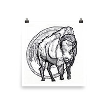 Load image into Gallery viewer, Bison